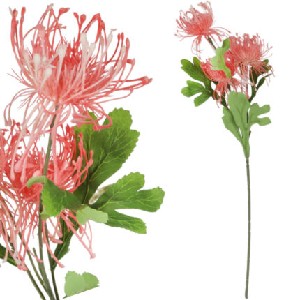 PROTEA gałązka 3 kwiatów dodatek kolor różowy