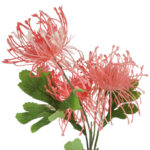 PROTEA gałązka 3 kwiatów dodatek kolor różowy - obrazek 3