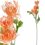 PROTEA gałązka 3 kwiatów dodatek kolor pomarańczowy