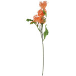 PROTEA gałązka 3 kwiatów dodatek kolor pomarańczowy - obrazek 2