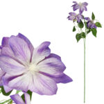 GAŁĄZKA POTRÓJNEGO CLEMATISA FIOLETOWY POWOJNIK