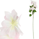 GAŁĄZKA POTRÓJNEGO CLEMATISA RÓŻOWY POWOJNIK