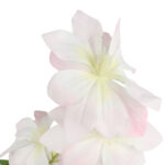 GAŁĄZKA POTRÓJNEGO CLEMATISA RÓŻOWY POWOJNIK - obrazek 3