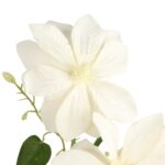 GAŁĄZKA POTRÓJNEGO CLEMATISA BIAŁY POWOJNIK - obrazek 3