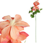 GAŁĄZKA POTRÓJNEGO CLEMATISA POMARAŃCZOWY POWOJNIK