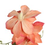 GAŁĄZKA POTRÓJNEGO CLEMATISA POMARAŃCZOWY POWOJNIK - obrazek 3