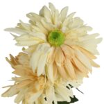 GAŁĄZKA POTRÓJNEJ GERBERY KOLOR ŻÓŁTY - obrazek 3