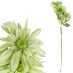 GAŁĄZKA POTRÓJNEJ GERBERY KOLOR ZIELONY