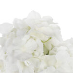 BUKIET 5 HORTENSJI sztuczne kwiaty do wazonu KOMPOZYCJA biała 48 cm - obrazek 3