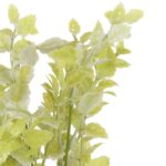 Bukiet BUKSZPANU DODATEK DO KOMPOZYCJI 34 cm - obrazek 3