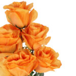 BUKIET 7 RÓŻ Z BUKSZPANEM pomarańczowy 52 cm - obrazek 3