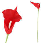 KALIA CALLA SILIKON GAŁĄZKA SZTUCZNA czerwona 67 cm