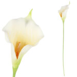 KALIA CALLA SILIKON GAŁĄZKA SZTUCZNA biała 67 cm