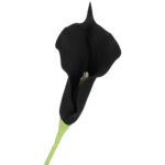 KALIA CALLA SILIKON GAŁĄZKA SZTUCZNA czarna 67 cm - obrazek 3