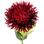 CHRYZANTEMA KWIAT SZTUCZNY do wazonu ciemno czerwona 64 cm - obrazek 3