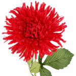 CHRYZANTEMA KWIAT SZTUCZNY do wazonu czerwona 64 cm - obrazek 3