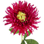 CHRYZANTEMA KWIAT SZTUCZNY do wazonu bordowo-zielona 64 cm - obrazek 3
