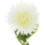 CHRYZANTEMA KWIAT SZTUCZNY do wazonu biała 64 cm - obrazek 3