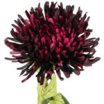 CHRYZANTEMA KWIAT SZTUCZNY do wazonu bordowa 64 cm - obrazek 3