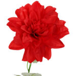 Dalia kwiat pojedynczy czerwony 70 cm - obrazek 3