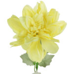 Dalia kwiat pojedynczy żółty 70 cm - obrazek 3