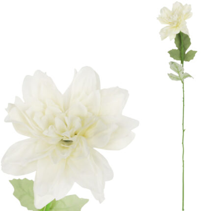 Dalia kwiat pojedynczy biały 70 cm