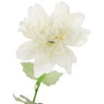 Dalia kwiat pojedynczy biały 70 cm - obrazek 3