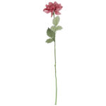 Dalia kwiat pojedynczy różowy 70 cm - obrazek 2