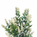 BUKIET 5 GAŁĄZEK TAWUŁKI 28 CM KOLOR KREMOWY - obrazek 2