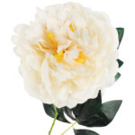 PIWONIA KWIAT SZTUCZNY do wazonu kremowa PEONIA 72 - obrazek 3
