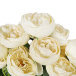 BUKIET 12 PIWONII PEONII KOMPOZYCJA DO WAZONU W KOLORZE KREMOWYM 36 CM - obrazek 3