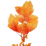 LIŚĆ KLONU SZTUCZNY DODATEK do wazonu pomarańczowy 100 cm - obrazek 3