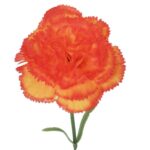 Goździk pojedynka w kolorze pomarańczowym 54 cm - obrazek 3