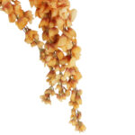 Wisteria Sztuczne Kwiaty Girlanda Glicynia Kwiaty Wiszące Balkon Taras Ślub pomarańczowa - obrazek 3
