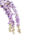 Wisteria Sztuczne Kwiaty Girlanda Glicynia Kwiaty Wiszące Balkon Taras Ślub fioletowa - obrazek 3