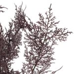 TAWUŁKA ASTILBE sztuczna gałązka dodatek do kompozycji bordowa 94 cm - obrazek 3