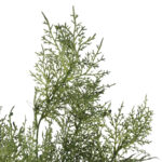 TAWUŁKA ASTILBE sztuczna gałązka dodatek do kompozycji zielona 94 cm - obrazek 3