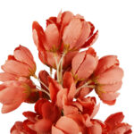 JUKA GAŁĄZKA SZTUCZNA pomarańczowa 86 cm - obrazek 3