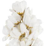 JUKA GAŁĄZKA SZTUCZNA biała 86 cm - obrazek 3