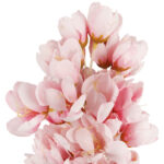 JUKA GAŁĄZKA SZTUCZNA jasno-różowa 86 cm - obrazek 3