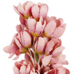 JUKA GAŁĄZKA SZTUCZNA różowa 86 cm - obrazek 3