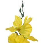 Sztuczny kwiat Gladiola w kolorze żółtym, 54 cm - obrazek 2