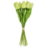 Bukiet 12 TULIPANÓW W PĘCZKU Z RAFIĄ 32 cm zielony - obrazek 2