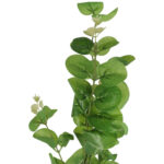 EUKALIPTUS GAŁĄZKA SZTUCZNA dodatek do kompozycji zielony 90 cm - obrazek 3