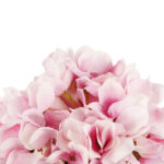 HORTENSJA GAŁĄZKA SZTUCZNA różowa 90 cm - obrazek 3