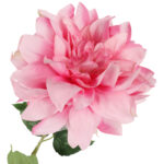 DALIA sztuczny kwiat do wazonu GEORGINIA różowa 64 cm - obrazek 3