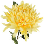 CHRYZANTEMA sztuczny kwiat do wazonu żółta 68 cm - obrazek 3
