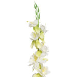 Gałązka kwiatów owocowych - wiśnia 76 cm biała - obrazek 3