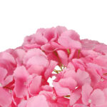 BUKIET HORTENSJI różowy 46 cm - obrazek 3