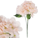 BUKIET HORTENSJI kremowy 46 cm